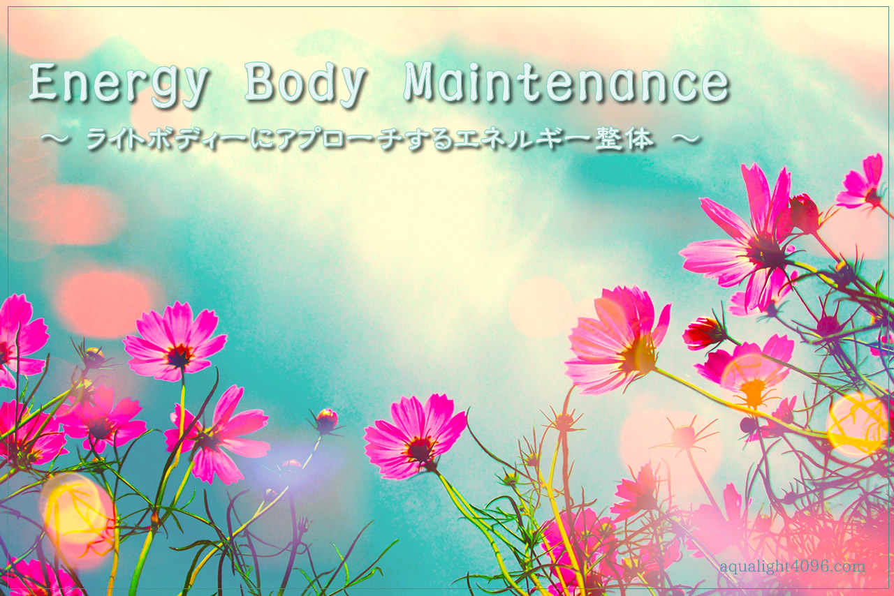 Energy Body Maintenanceイメージ